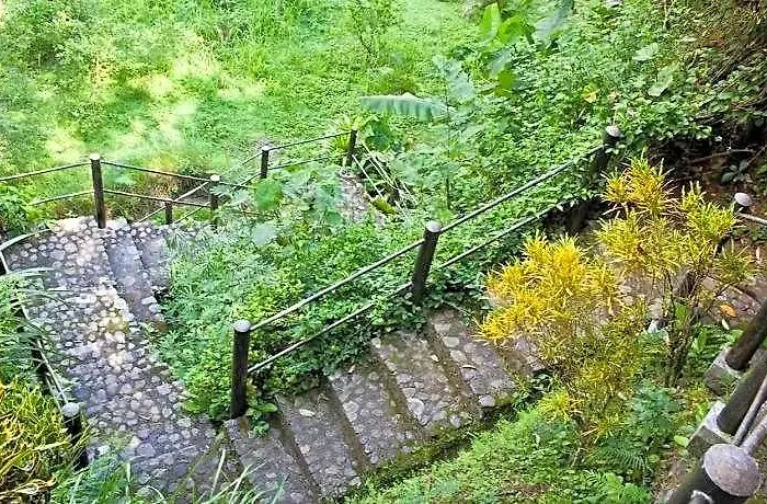 ホテル Nirarta バリ島